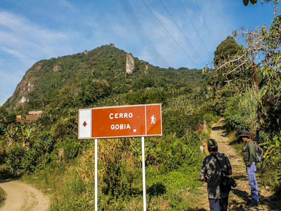 Cerro Gobia